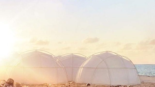 Fyre (2019) ไฟร์ เฟสติวัล เทศกาลดนตรีวายป่วง