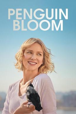 Penguin Bloom | Netflix (2020) เพนกวิน บลูม