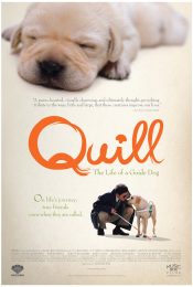 Quill The Life of a Guide Dog (2004) โฮ่งฮับ เจ้าตัวเนี้ยซี้ร้อยเปอร์เซ็นต์